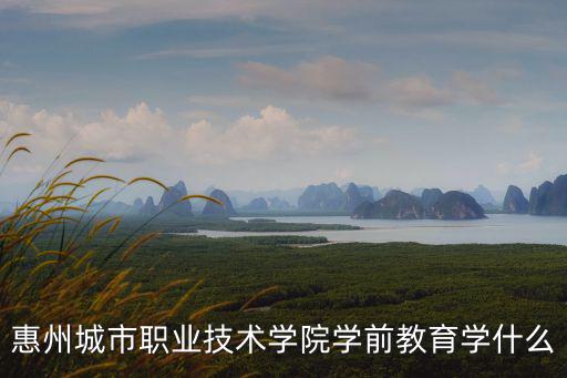惠州城市職業(yè)技術(shù)學(xué)院學(xué)前教育學(xué)什么