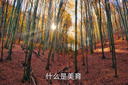 什么是美育