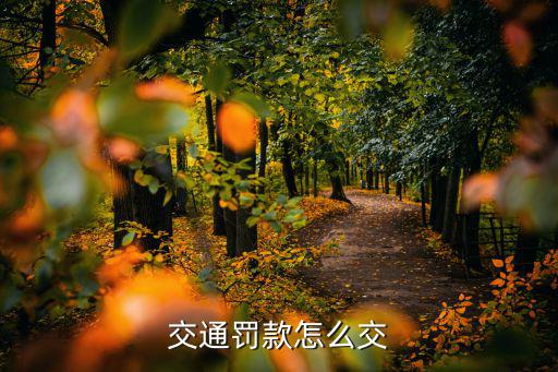 交通罰款怎么交