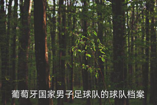葡萄牙國(guó)家男子足球隊(duì)的球隊(duì)檔案