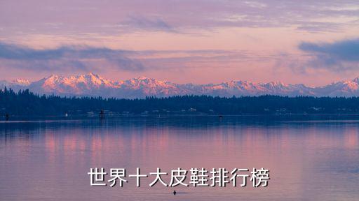 世界十大皮鞋排行榜