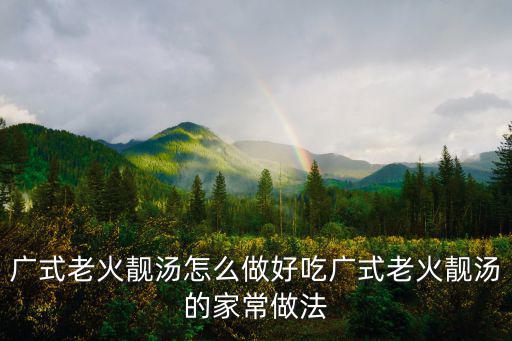 廣式老火靚湯怎么做好吃廣式老火靚湯的家常做法
