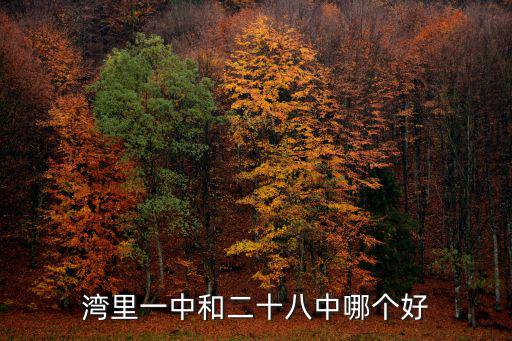 灣里一中，江西省南昌市灣里區自考辦在哪具體地址是什么啊急