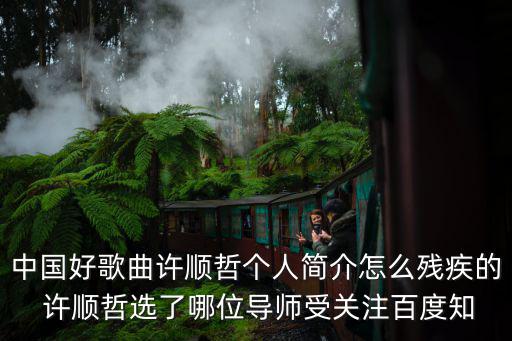 許順哲，長春依凡琴行和滾石琴行哪家吉他教的好