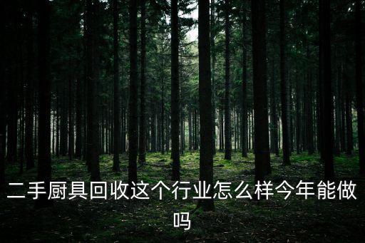 二手廚具回收這個行業怎么樣今年能做嗎