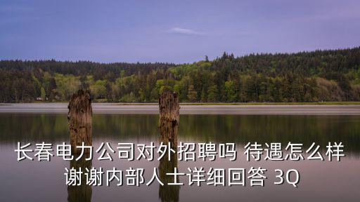 長春供電公司，長春電力公司對外招聘嗎 待遇怎么樣 謝謝內部人士詳細回答 3Q