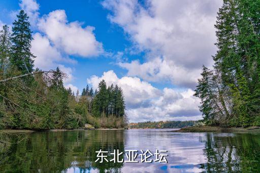  東北亞論壇