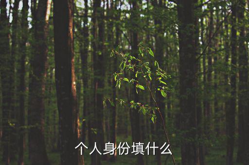 個(gè)人身份填什么