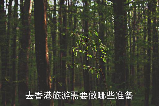 去香港旅游需要做哪些準(zhǔn)備