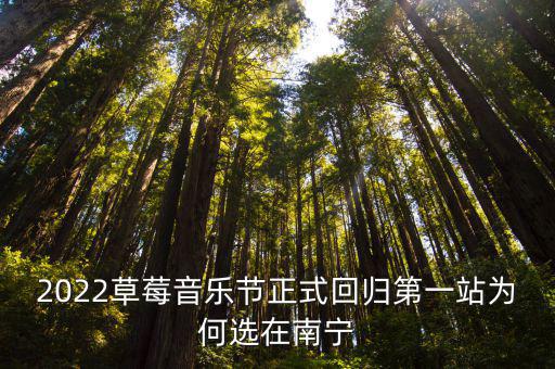 草莓音樂節(jié)，如何承辦草莓音樂節(jié)