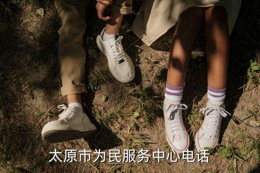 太原為民服務中心，為民服務有幾個服務窗口