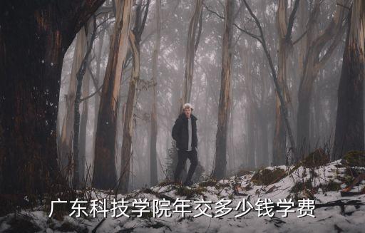 廣東科技學院年交多少錢學費