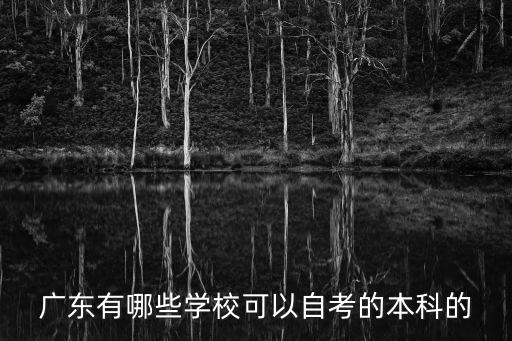 廣東有哪些學(xué)校可以自考的本科的