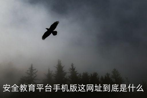 安全教育平臺(tái)手機(jī)版這網(wǎng)址到底是什么