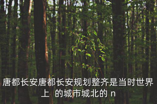 唐都長(zhǎng)安唐都長(zhǎng)安規(guī)劃整齊是當(dāng)時(shí)世界上  的城市城北的 n