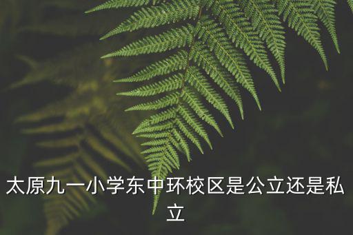 太原九一小學東中環校區是公立還是私立