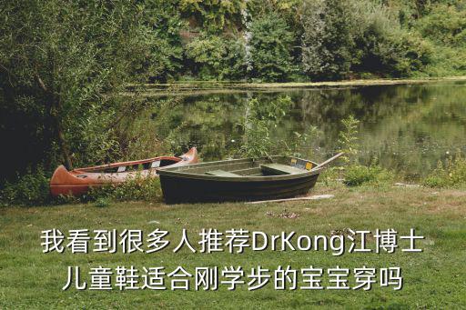 江博士童鞋，我看到很多人推薦DrKong江博士兒童鞋適合剛學(xué)步的寶寶穿嗎