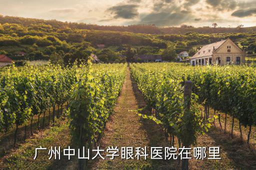 廣州中山大學眼科醫院在哪里