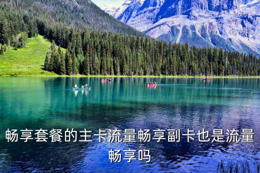 暢享套餐的主卡流量暢享副卡也是流量暢享嗎