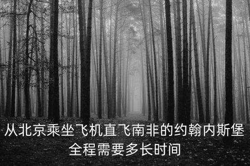 約翰內(nèi)斯堡時間，從北京乘坐飛機直飛南非的約翰內(nèi)斯堡全程需要多長時間