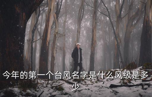 今年的第一個臺風名字是什么風級是多少