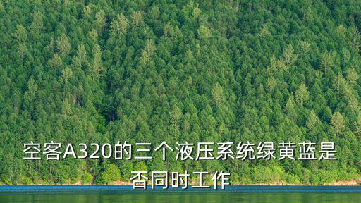 綠系統，空客A320綠系統有大神給講講這幅圖說的是什么嗎謝謝