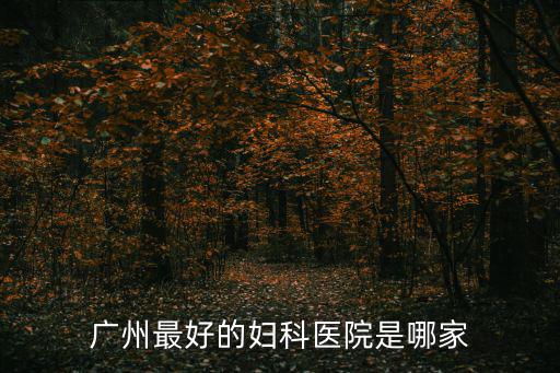 廣州婦產(chǎn)醫(yī)院，廣州花都婦產(chǎn)醫(yī)院廣州婦產(chǎn)醫(yī)院哪家好