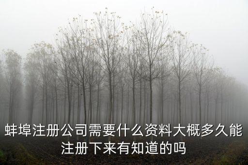 蚌埠公司注冊，安徽蚌埠注冊汽車租賃公司需要什么程序證件資金多少