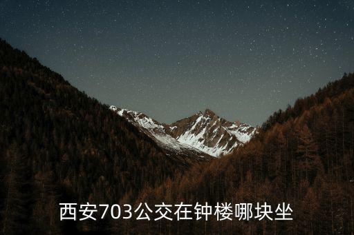 西安703公交在鐘樓哪塊坐