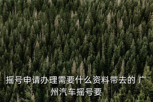 搖號(hào)申請(qǐng)辦理需要什么資料帶去的 廣州汽車搖號(hào)要