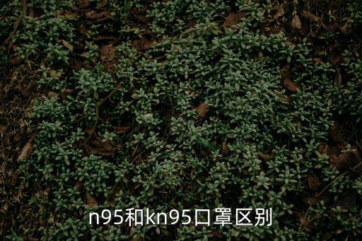 n95和kn95口罩區別