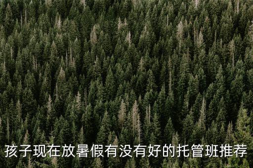 暑期托管班，孩子現在放暑假有沒有好的托管班推薦