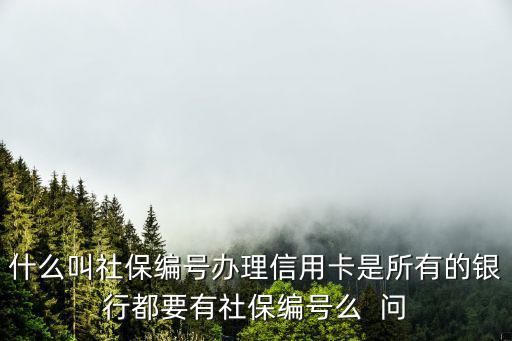 什么叫社保編號辦理信用卡是所有的銀行都要有社保編號么  問