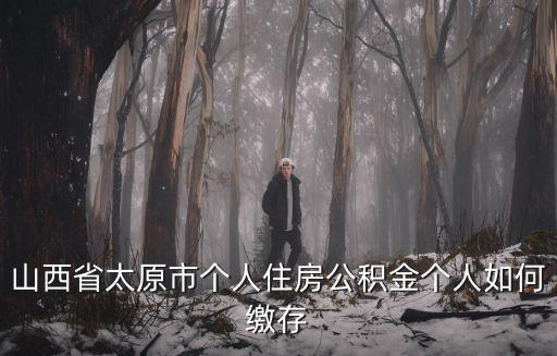 山西省太原市個人住房公積金個人如何繳存