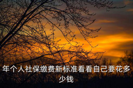 年個人社保繳費新標準看看自己要花多少錢