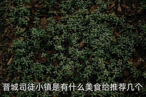 晉城司徒小鎮是有什么美食給推薦幾個