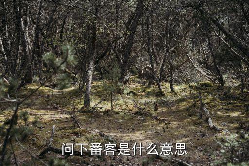 問下番客是什么意思