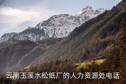 人力資源電話，云南玉溪水松紙廠的人力資源處電話