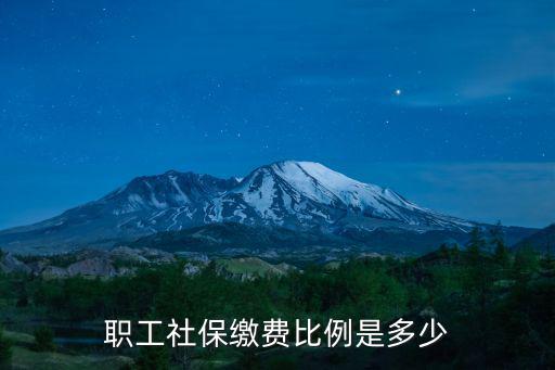 職工社保繳費比例，職工保險繳費比例