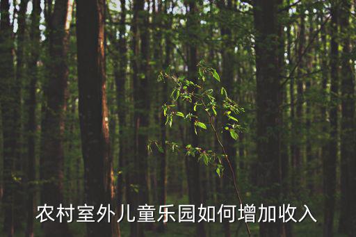 戶(hù)外親子樂(lè)園，農(nóng)村室外兒童樂(lè)園如何增加收入