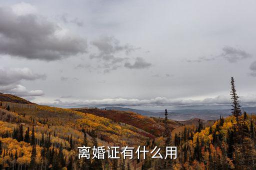 離婚證有什么用