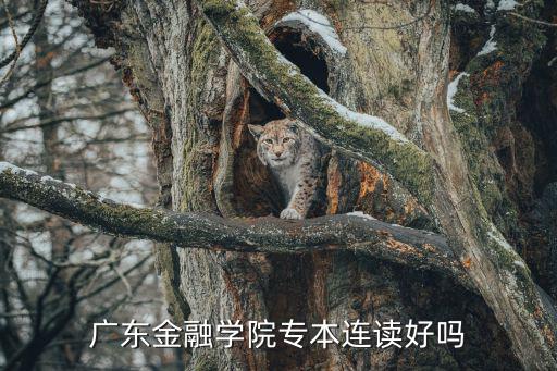 廣東金融學院專本連讀好嗎
