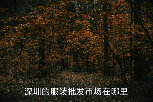 深圳服裝商城，深圳最大的服裝批發市場在哪里