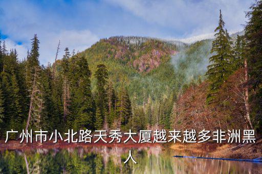 廣州市小北路天秀大廈越來(lái)越多非洲黑人