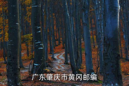 廣東肇慶市黃岡郵編