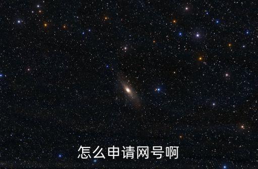 怎么申請網號啊