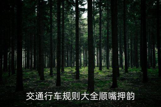 交通行車規則大全順嘴押韻