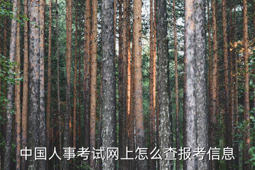 中國人事考試網上怎么查報考信息