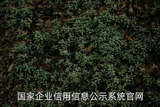 國家企業信用信息公示系統官網