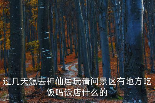 過幾天想去神仙居玩請問景區有地方吃飯嗎飯店什么的